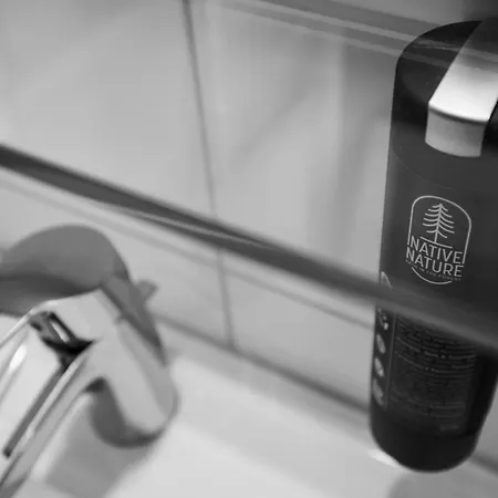 Neckarwestheimer Hotell